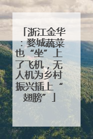 浙江金华：婺城蔬菜也“坐”上了飞机，无人机为乡村振兴插上“翅膀”