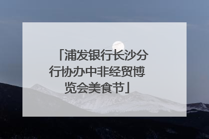 浦发银行长沙分行协办中非经贸博览会美食节