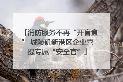 消防服务不再“开盲盒” 城陵矶新港区企业喜提专属“安全官”