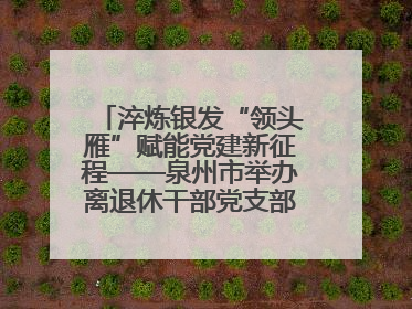 淬炼银发“领头雁”赋能党建新征程——泉州市举办离退休干部党支部书记能力建设专题培训