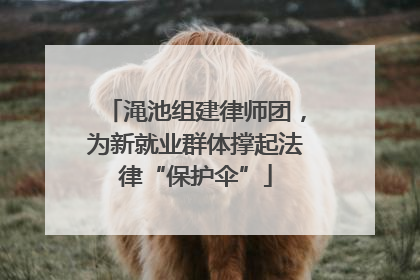 渑池组建律师团，为新就业群体撑起法律“保护伞”