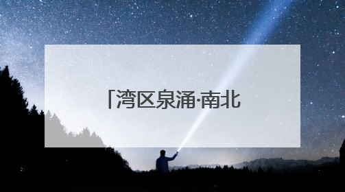 湾区泉涌·南北共擎——“花楸树”杯明湖慈善公益跑成功举办