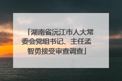 湖南省沅江市人大常委会党组书记、主任孟智勇接受审查调查