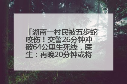 湖南一村民被五步蛇咬伤！交警26分钟冲破64公里生死线，医生：再晚20分钟或将呼吸肌麻痹