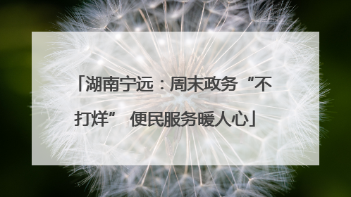 湖南宁远：周末政务“不打烊” 便民服务暖人心