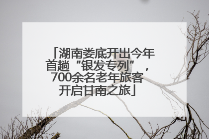 湖南娄底开出今年首趟“银发专列”，700余名老年旅客开启甘南之旅
