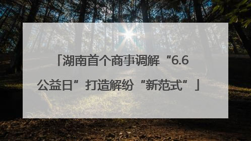 湖南首个商事调解“6.6 公益日”打造解纷“新范式”