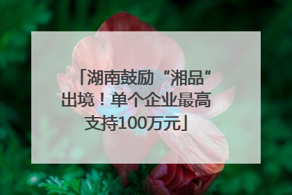 湖南鼓励“湘品”出境！单个企业最高支持100万元