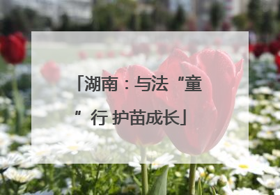 湖南：与法“童”行 护苗成长