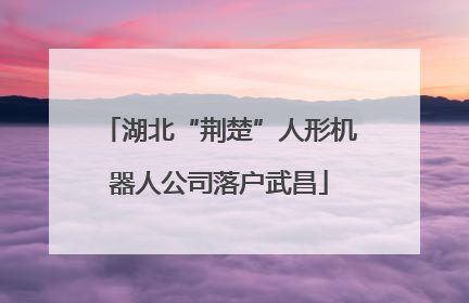 湖北“荆楚”人形机器人公司落户武昌