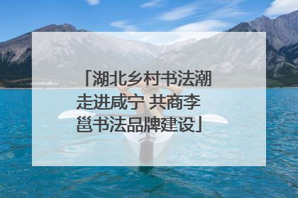 湖北乡村书法潮走进咸宁 共商李邕书法品牌建设