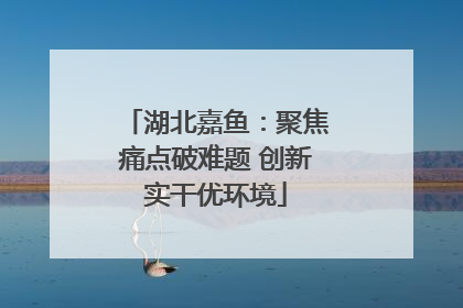 湖北嘉鱼：聚焦痛点破难题 创新实干优环境