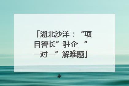 湖北沙洋：“项目警长”驻企 “一对一”解难题
