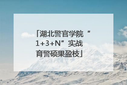 湖北警官学院“1+3+N”实战育警硕果盈枝