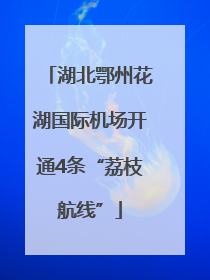 湖北鄂州花湖国际机场开通4条“荔枝航线”