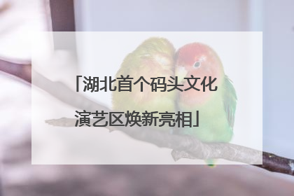 湖北首个码头文化演艺区焕新亮相