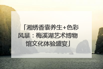 湘绣香囊养生+色彩风暴：梅溪湖艺术博物馆文化体验盛宴