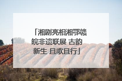 湘剧亮相湘鄂赣皖非遗联展 古韵新生 且歌且行