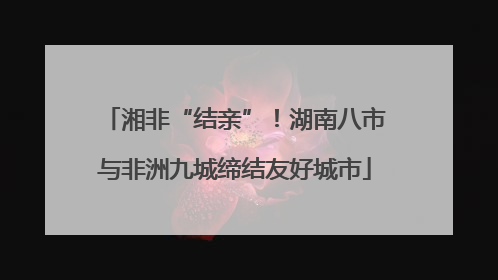 湘非“结亲”！湖南八市与非洲九城缔结友好城市