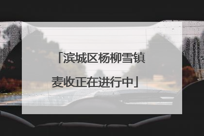 滨城区杨柳雪镇麦收正在进行中