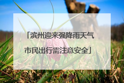 滨州迎来强降雨天气 市民出行需注意安全