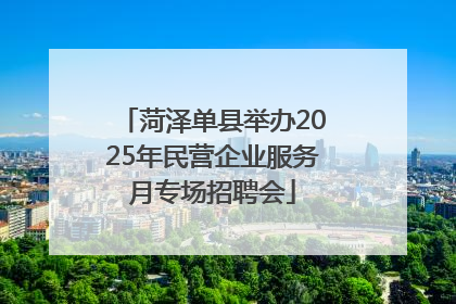 菏泽单县举办2025年民营企业服务月专场招聘会