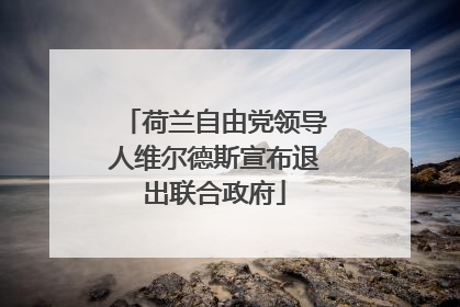荷兰自由党领导人维尔德斯宣布退出联合政府