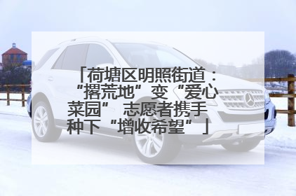 荷塘区明照街道：“撂荒地”变“爱心菜园” 志愿者携手种下“增收希望”