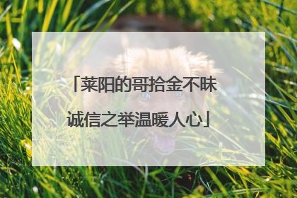 莱阳的哥拾金不昧 诚信之举温暖人心