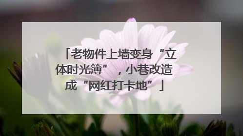 老物件上墙变身“立体时光簿”，小巷改造成“网红打卡地”