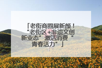 老街商圈展新颜！“老街区+非遗文创新业态”激活消费“青春活力”