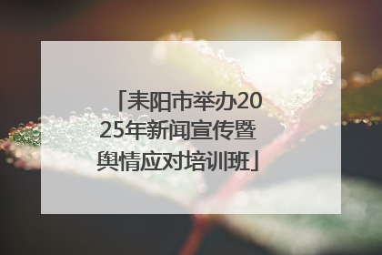 耒阳市举办2025年新闻宣传暨舆情应对培训班