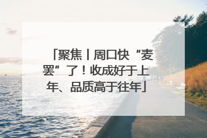 聚焦丨周口快“麦罢”了！收成好于上年、品质高于往年