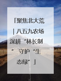 聚焦北大荒｜八五九农场深耕“林长制” 守护“生态绿”
