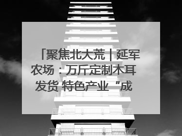 聚焦北大荒｜延军农场：万斤定制木耳发货 特色产业“成绩单”亮眼