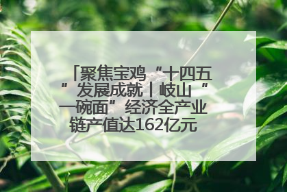 聚焦宝鸡“十四五”发展成就丨岐山“一碗面”经济全产业链产值达162亿元 入选全国典型县