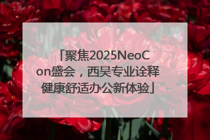 聚焦2025NeoCon盛会，西昊专业诠释健康舒适办公新体验