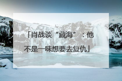 肖战谈“藏海”：他不是一味想要去复仇