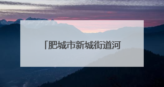肥城市新城街道河西社区：网格员“新老接力”跑出为民服务“加速度”