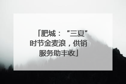肥城：“三夏”时节金麦浪，供销服务助丰收