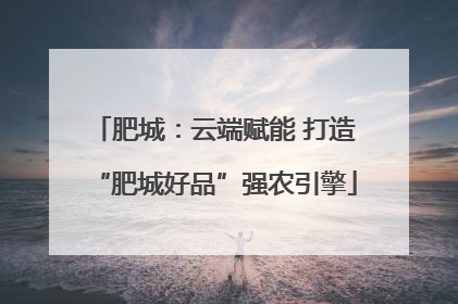 肥城：云端赋能 打造“肥城好品”强农引擎