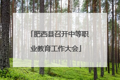 肥西县召开中等职业教育工作大会