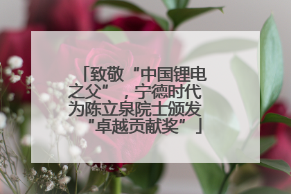 致敬“中国锂电之父”，宁德时代为陈立泉院士颁发“卓越贡献奖”