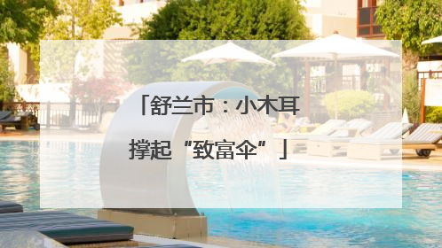 舒兰市：小木耳撑起“致富伞”