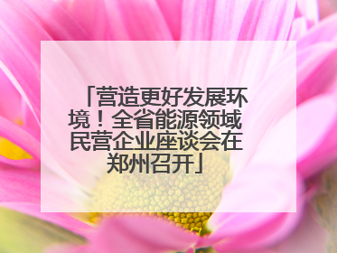 营造更好发展环境！全省能源领域民营企业座谈会在郑州召开
