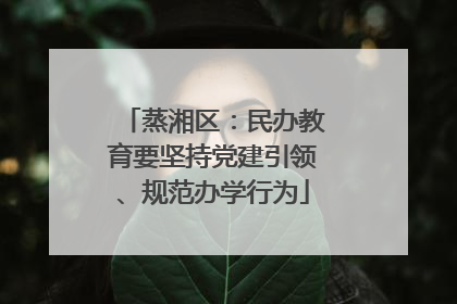 蒸湘区：民办教育要坚持党建引领、规范办学行为