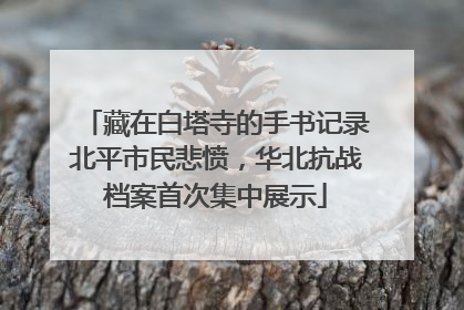 藏在白塔寺的手书记录北平市民悲愤，华北抗战档案首次集中展示