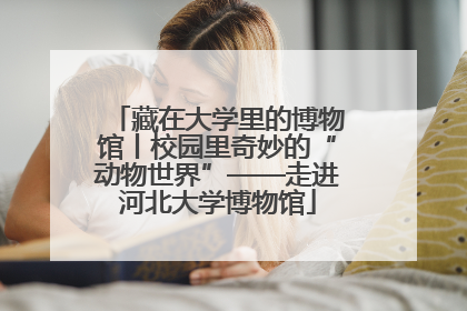 藏在大学里的博物馆丨校园里奇妙的“动物世界”——走进河北大学博物馆