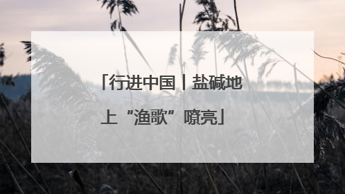 行进中国丨盐碱地上“渔歌”嘹亮