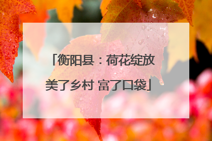 衡阳县：荷花绽放 美了乡村 富了口袋